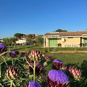 Il Giardino Di Nunzia Principina Terra