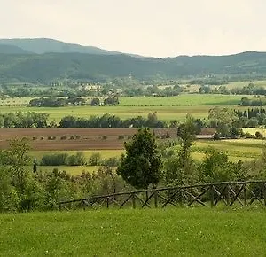E Cantina Tenuta Casteani Ribolla